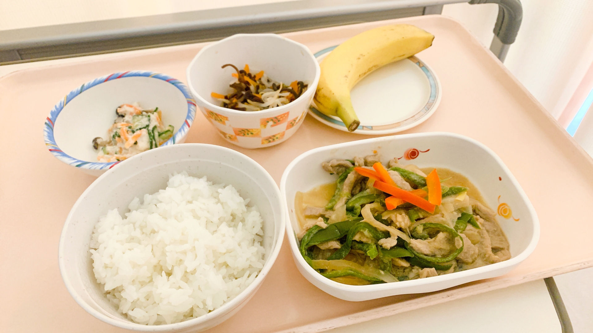 糖尿病治療食(病院栄養士)